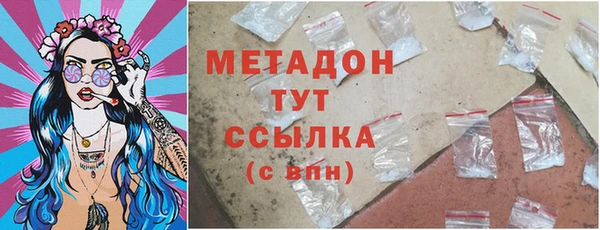 прущие грибы Аркадак