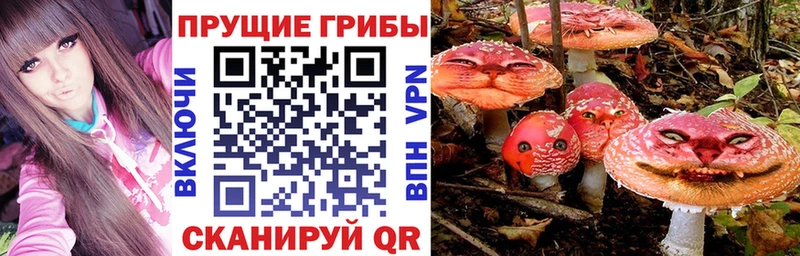 Галлюциногенные грибы мицелий  Гаврилов Посад 
